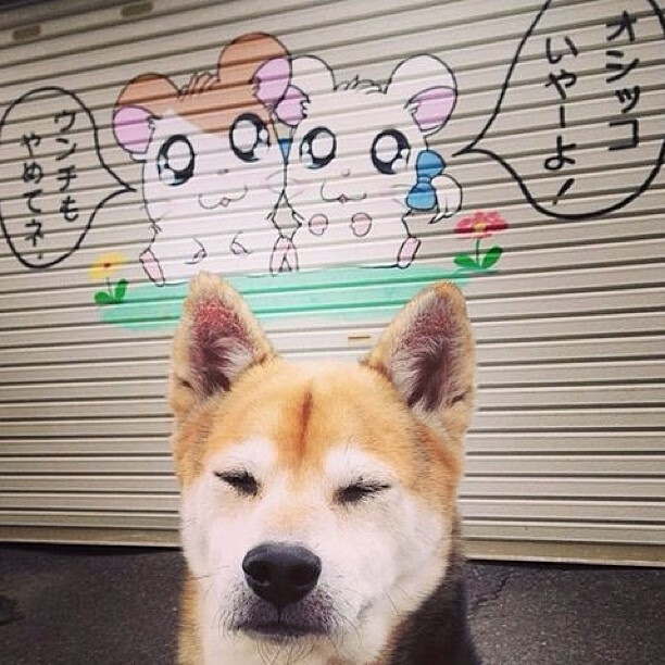 格列兹曼宣布退出国家队,结束10年生涯,格列兹曼回应