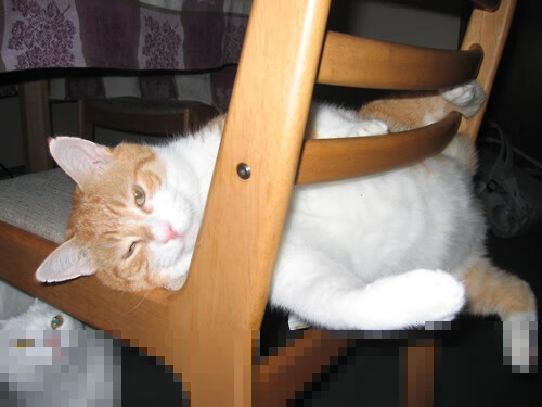 AYX GAME-英雄联盟青春杯决赛现场火爆，年轻战队崭露头角，青春总决赛多少钱