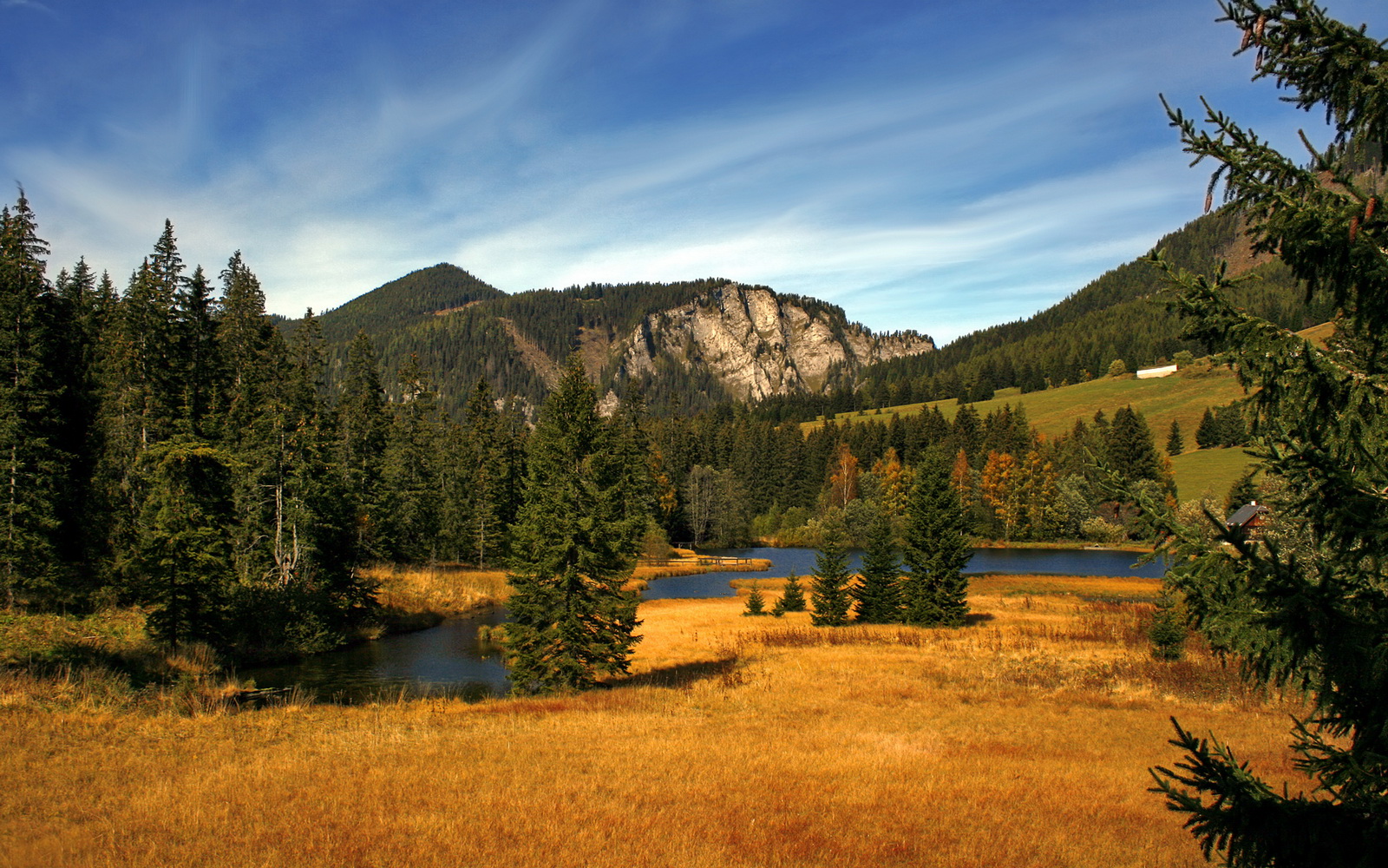 足球产业背后：投资创新推动联赛升级，足球产业规模