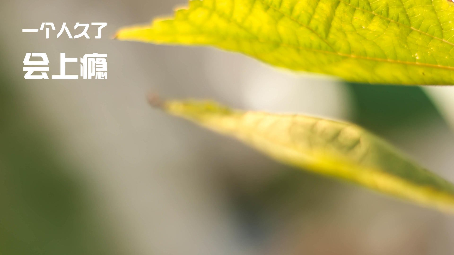 爱游戏-逆转瞬间：球队在最后2分钟燃起胜利希望！，篮球最后一分钟最大逆转