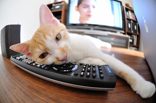 爱游戏app下载-国家队篮球技术动作标准化，国家队篮球技术动作标准化方案