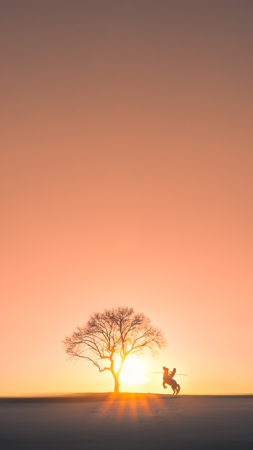 爱游戏中国官方登录入口网站-国家队是否需要更多战术风格尝试，国家队是否需要更多战术风格尝试训练