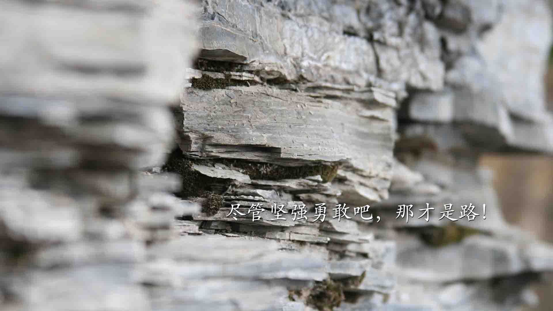 爱游戏在线登录入口-天津男篮不敌辽宁遭淘汰，赛季告别，天津男篮最新调整消息