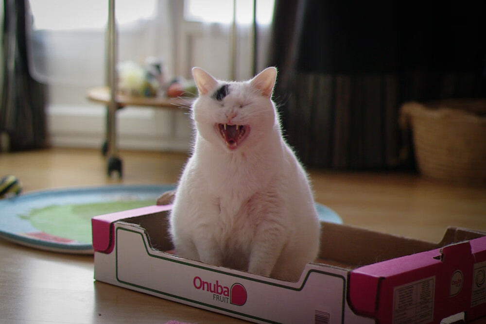 富力三球告负陷入低谷,被迫调整保级策略,富力球星