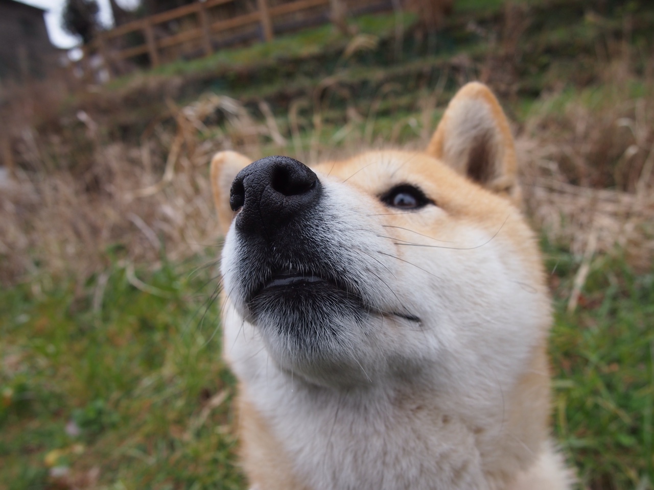 爱游戏娱乐网址-曼城客场出击诺维奇，能否继续连胜？，曼城客场出击诺维奇,能否继续连胜
