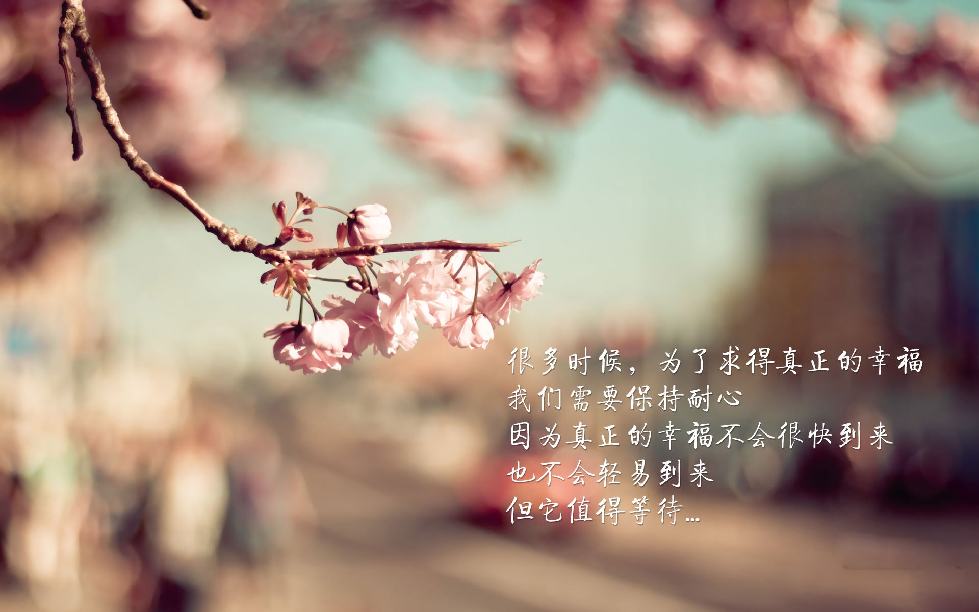 爱游戏中国官方网站平台-本菲卡球员伤病名单更新，本菲卡球员身价