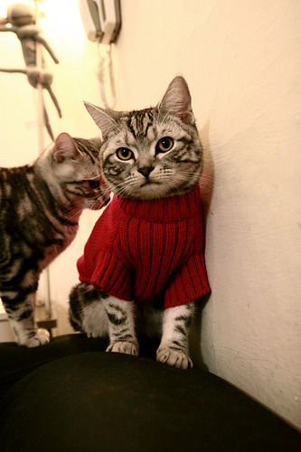 欧锦赛资格赛战况激烈,错失机会会让球队蒙羞,欧锦赛赛事分析