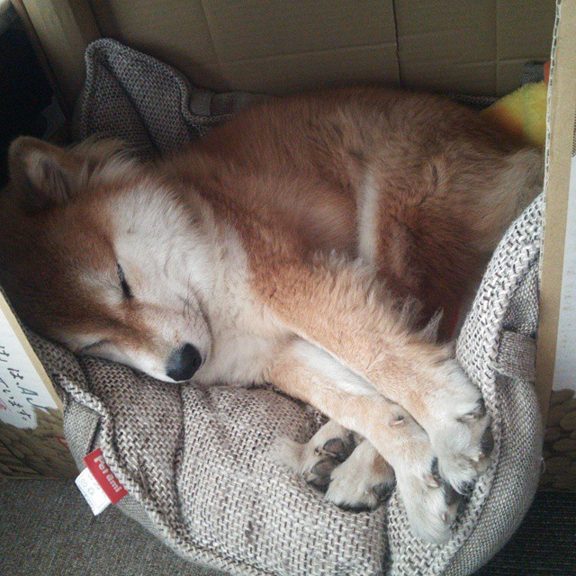 法国队连续三场胜利,稳坐领跑位置,法国队近十场比赛