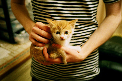 -火箭勇夺篮网，哈登火力全开季后赛争霸势不可挡，火箭篮网重启哈登交易谈判