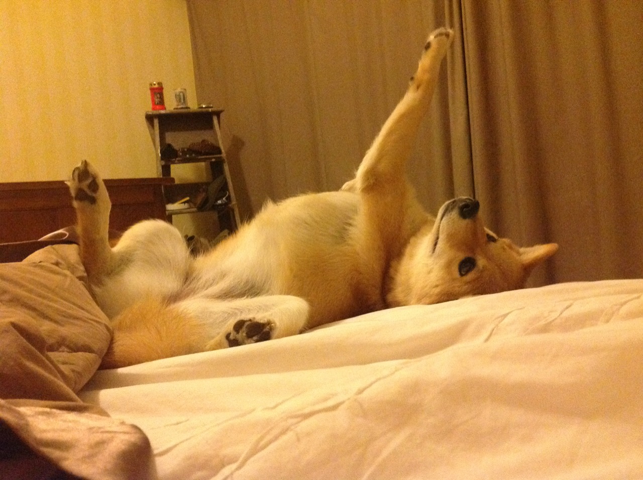 电竞赛事智能化管理系统升级及功能拓展,电子竞技赛事运营模式