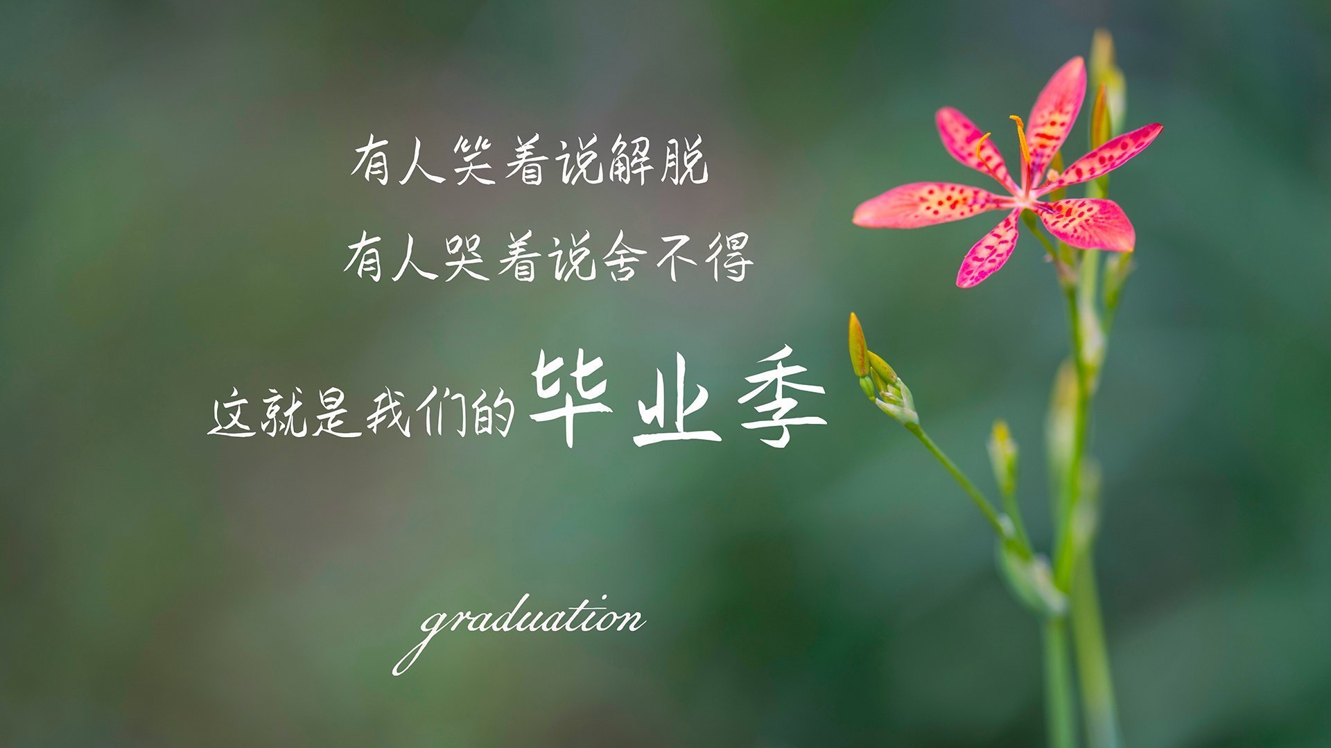 爱游戏登录入口-电竞战队财务管理体系构建及盈利模式优化策略研究，电竞战队怎么盈利