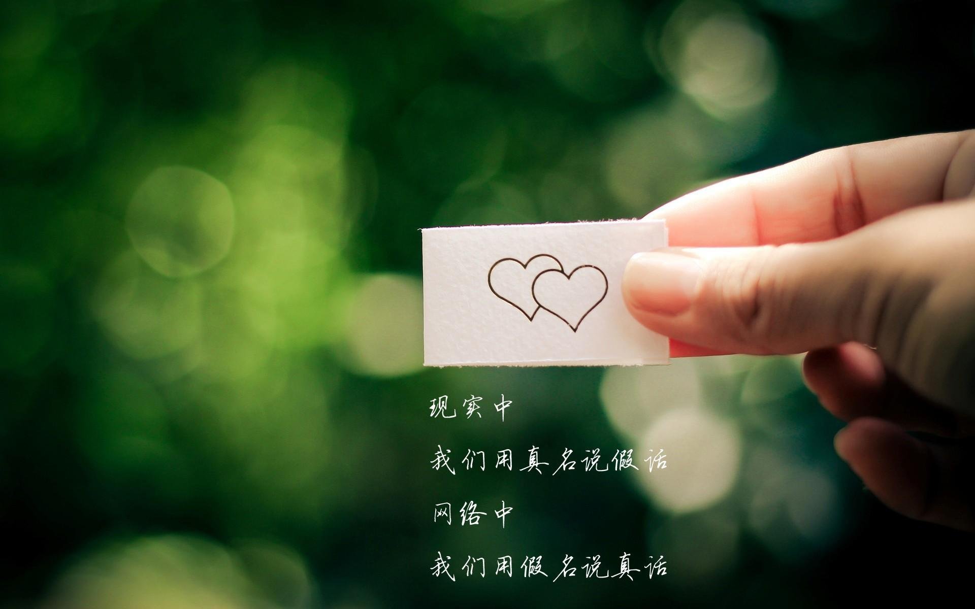 阿根廷马术学院推出青少年培训计划,培养未来马术明星。,阿根廷马球用马品种