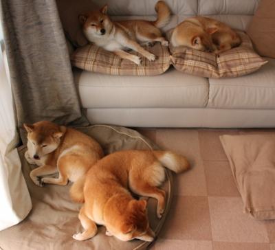 爱游戏官方网站-马拉加沦为悲剧队，连续失利败走降级区，马拉加省