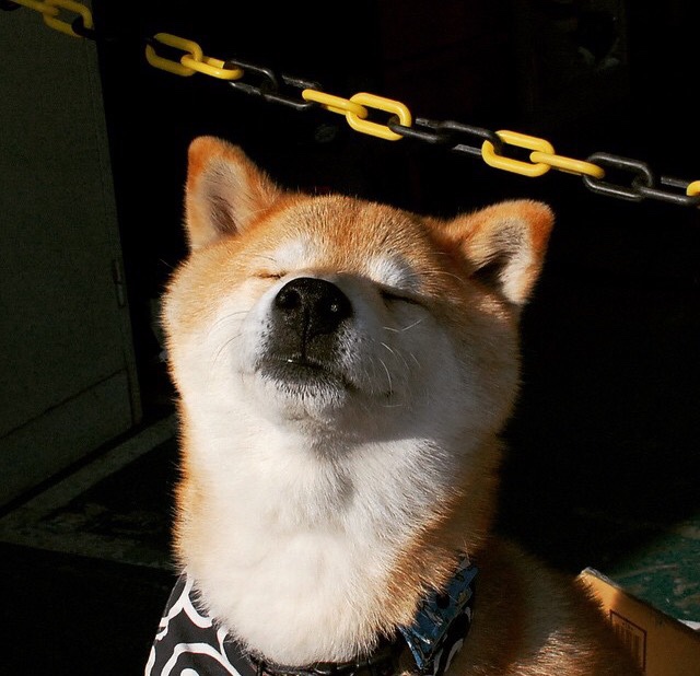 爱游戏官方网站-顶尖球队争夺荣誉，胜者将成为赛场王者，获胜球队