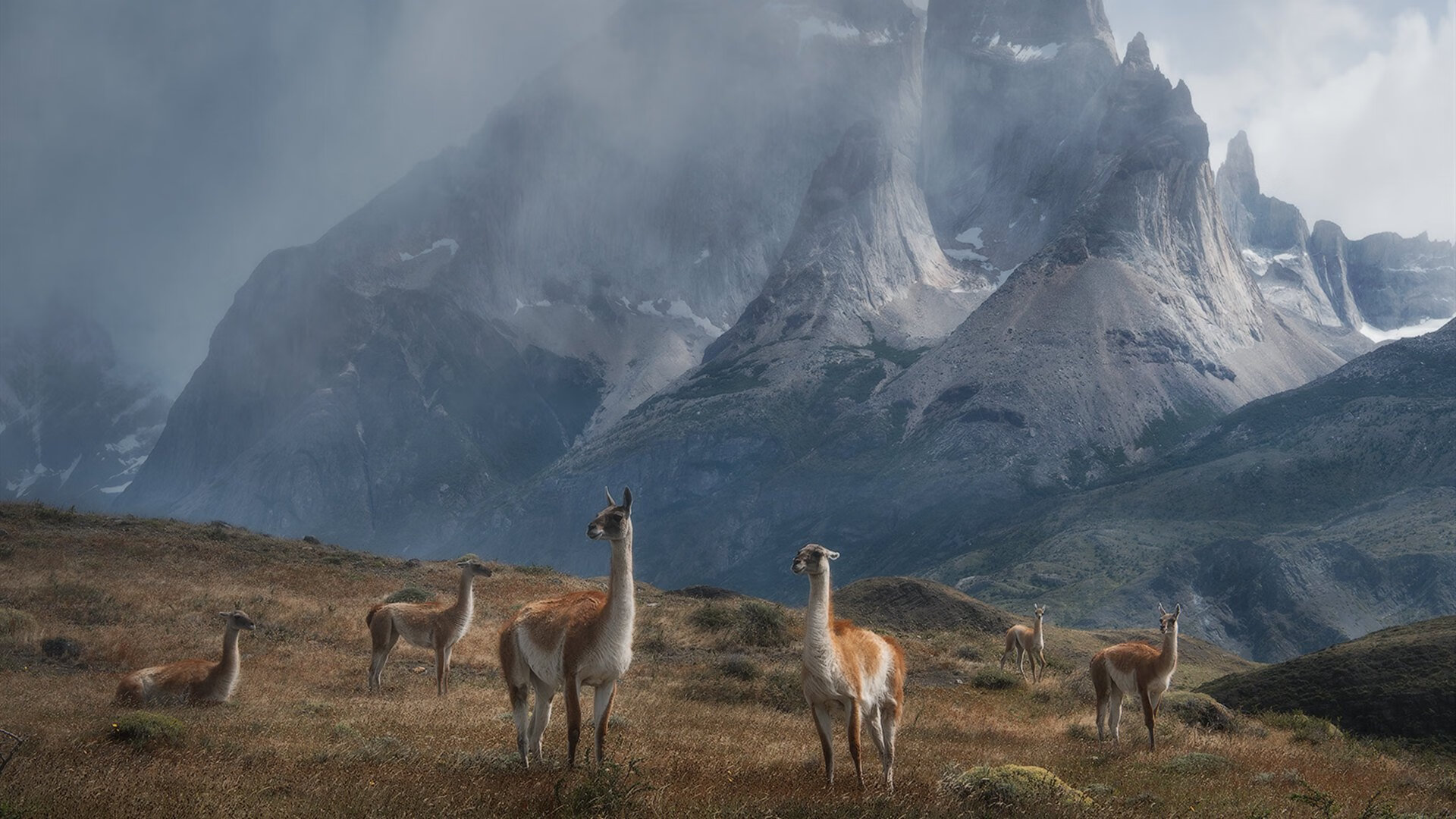 NBA球队战术体系创新与实践探讨,nba战术分析