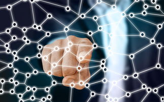 爱游戏体育平台-中国篮球职业联赛青训体系的结构优化，中国青年篮球联赛简称