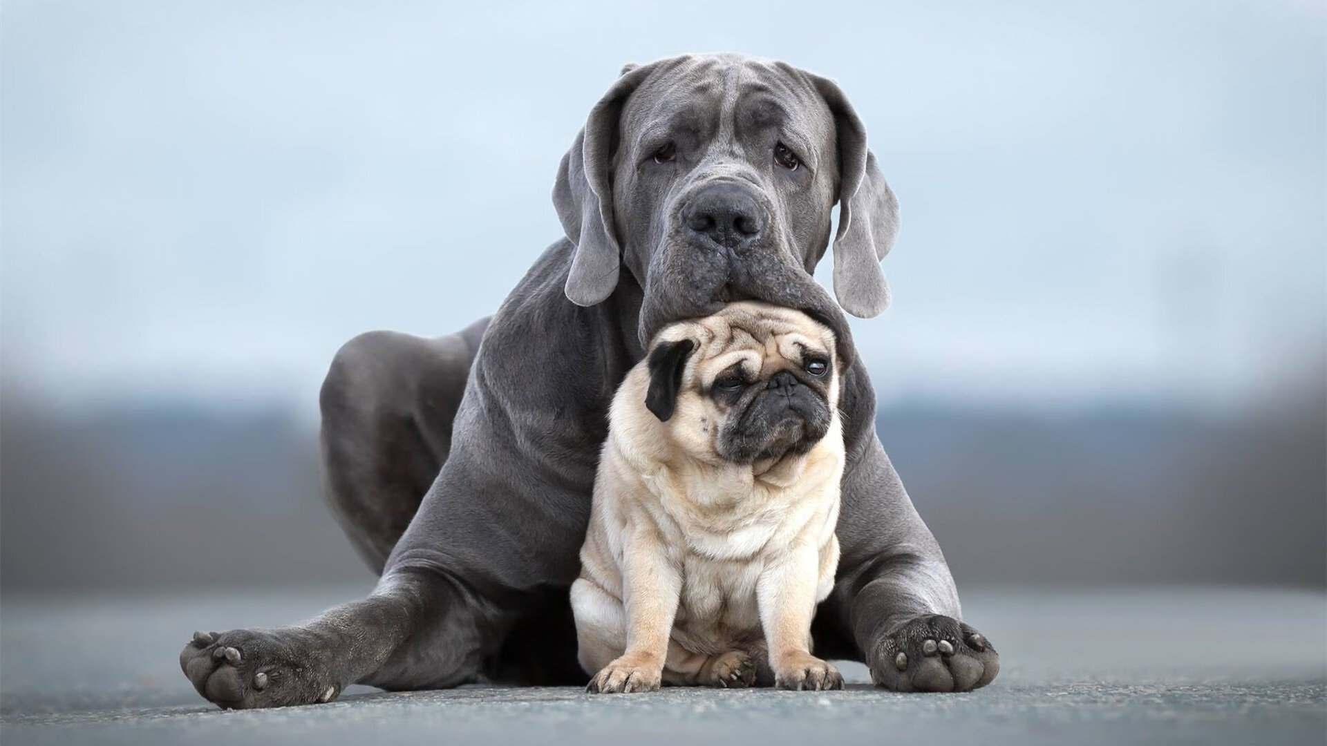 中国足球防守段盯人策略执行成功统计,足球 盯人防守