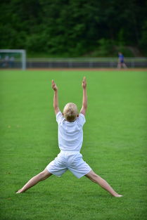 爱游戏官方-高校运动训练计划动态调整机制研究，运动训练调控