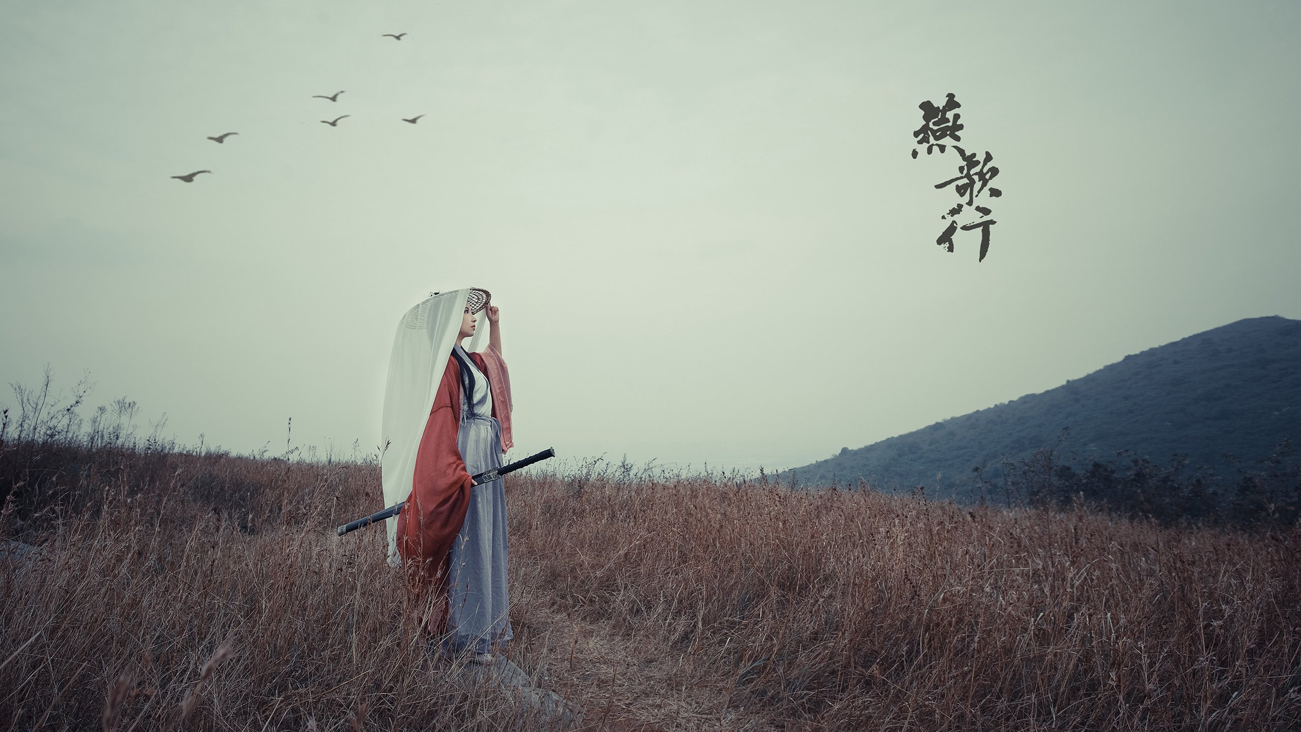 爱游戏体育-中国篮球出版物数量增加内容质量不断提升，我国篮球