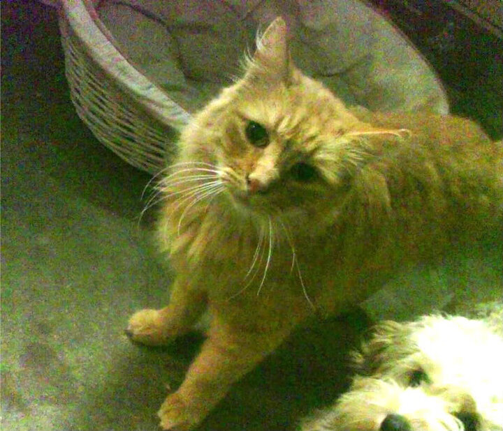 -女子马拉松全国冠军赛湖南站激情开跑，女子马拉松冠军中国