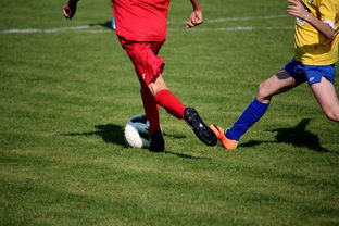 爱游戏在线登录入口-拳击国家队备战亚运 实施精英训练计划，拳击亚军奖杯照片