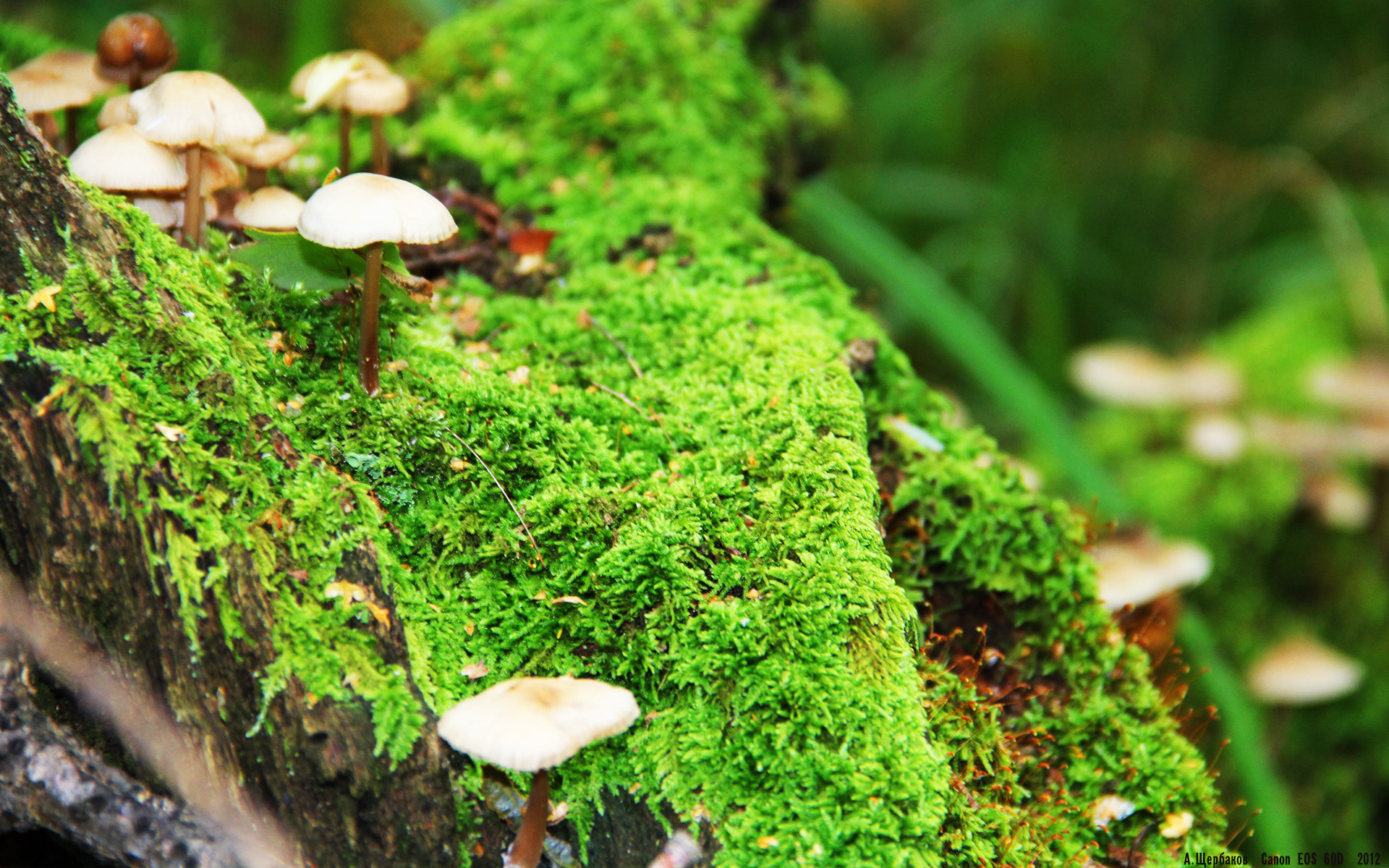 爱游戏娱乐网址-突尼斯希望球员拼搏精神十足，突尼斯希望球员拼搏精神十足吗