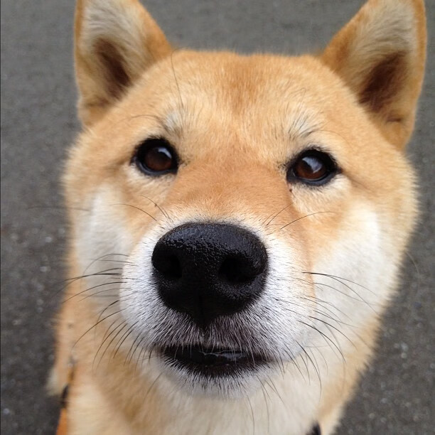 爱游戏娱乐网址-节奏混乱是否会影响球队核心球员判断，节奏感差会导致什么后果