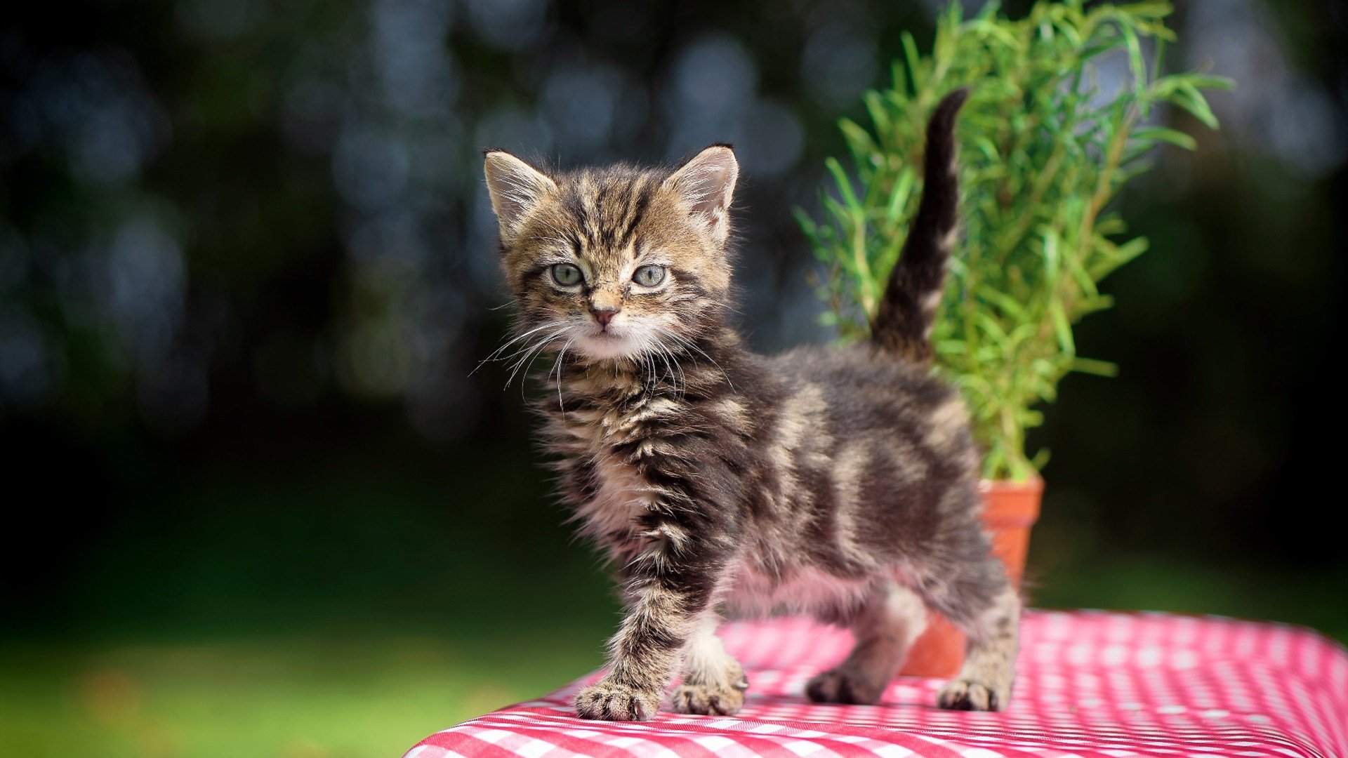 AYX体育官网-团队动作一致度高，协同步骤规范标准，团队协作具体行动