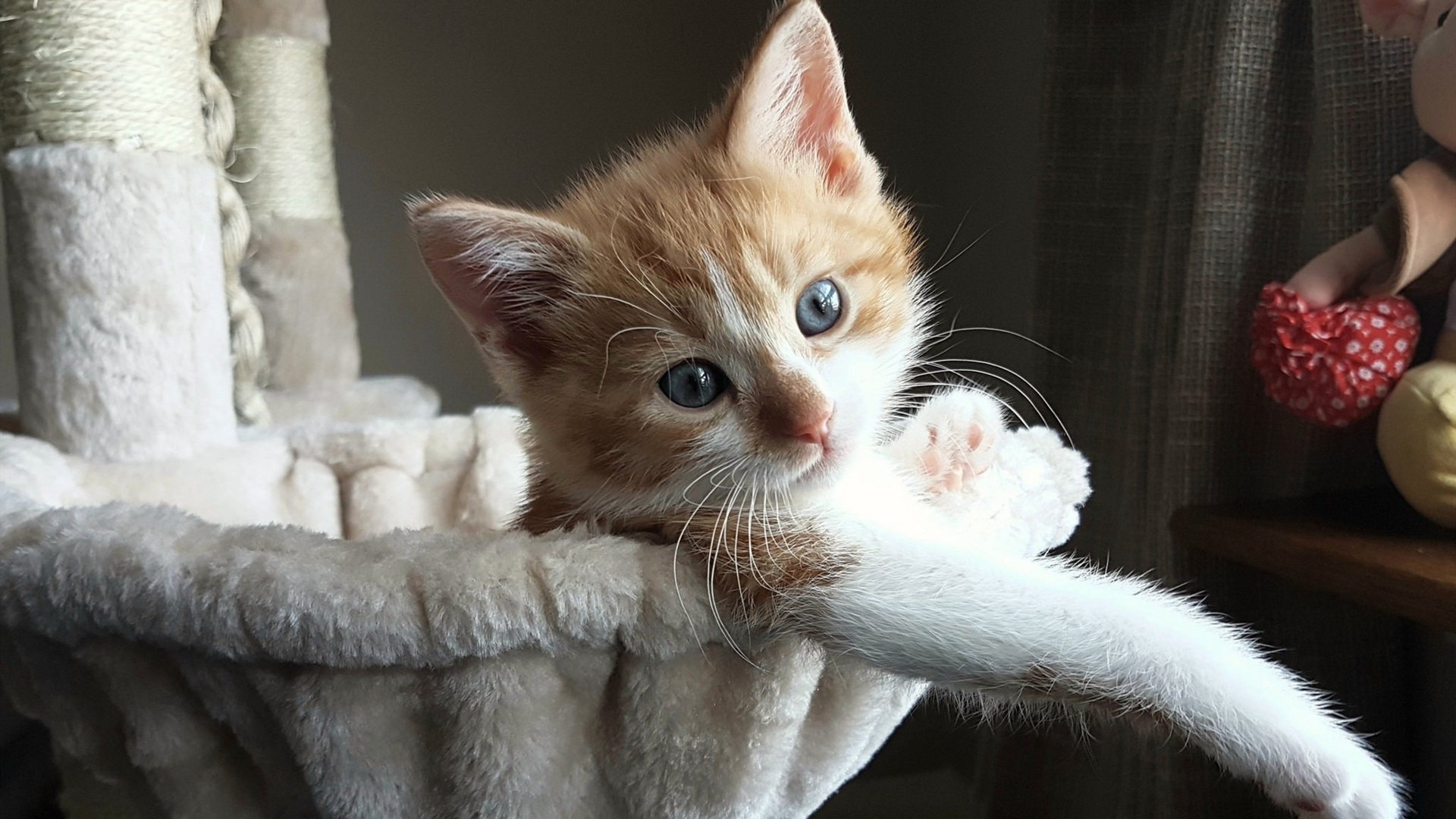 爱游戏体育app-女足联赛持续扩军计划提升比赛覆盖与竞争强度，中国女足联赛扩军