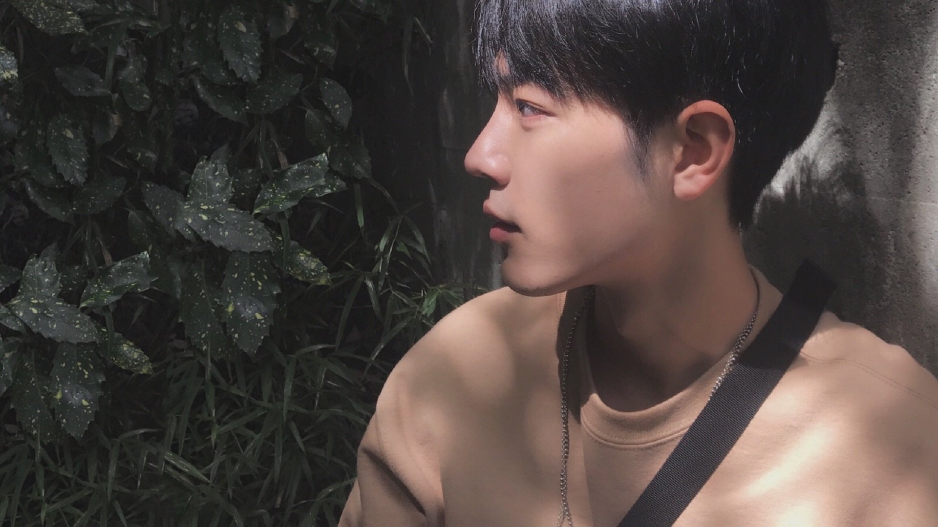 校园足球与区域体育局协同推进基础设施优化,校园足球建设情况