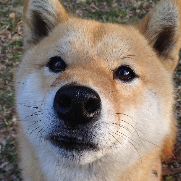 欧洲杯变阵出奇:战术创新,引领新风向!,欧洲杯探讨