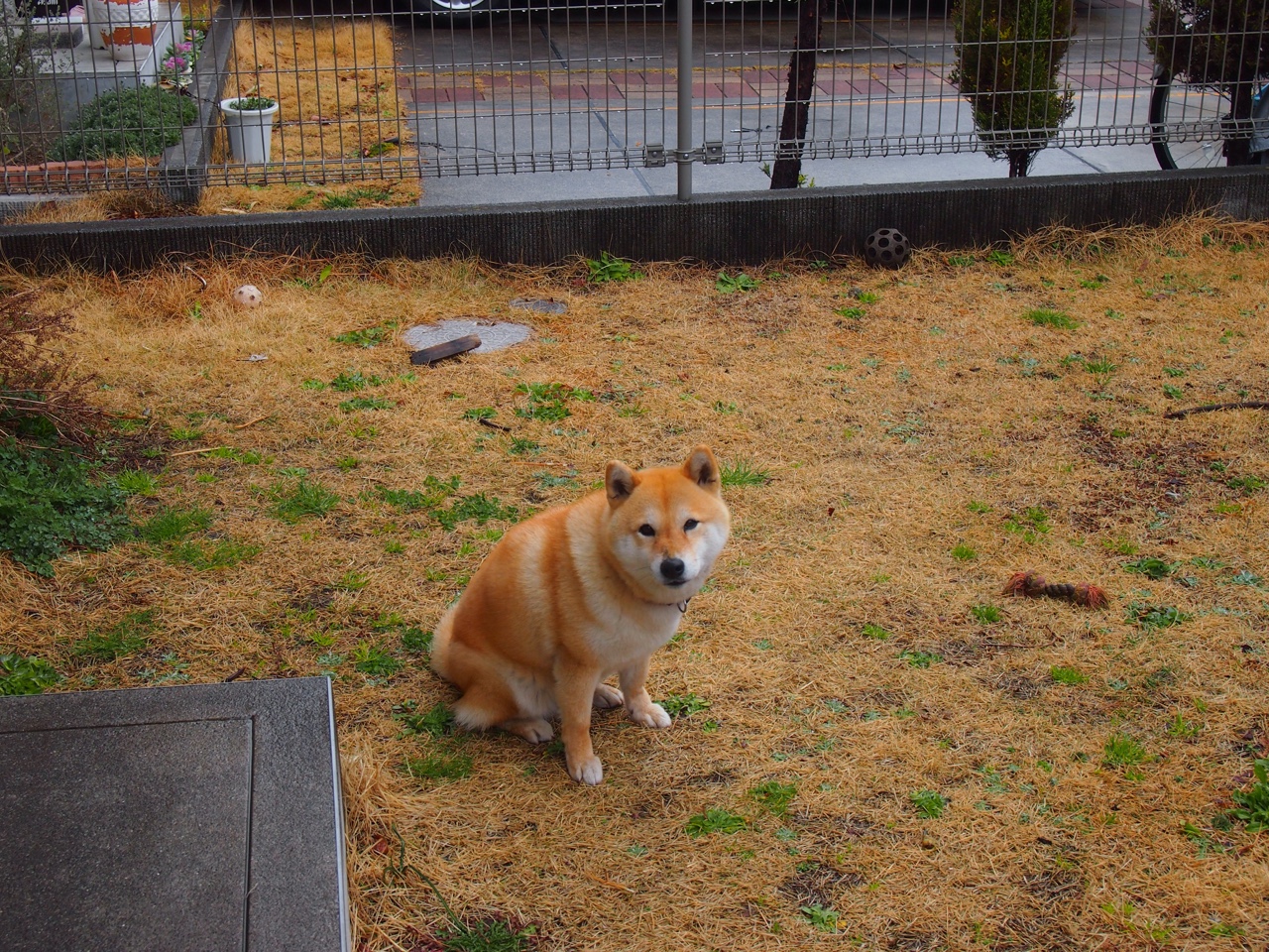 电竞内容制作人才培养计划启动,电竞行业人才