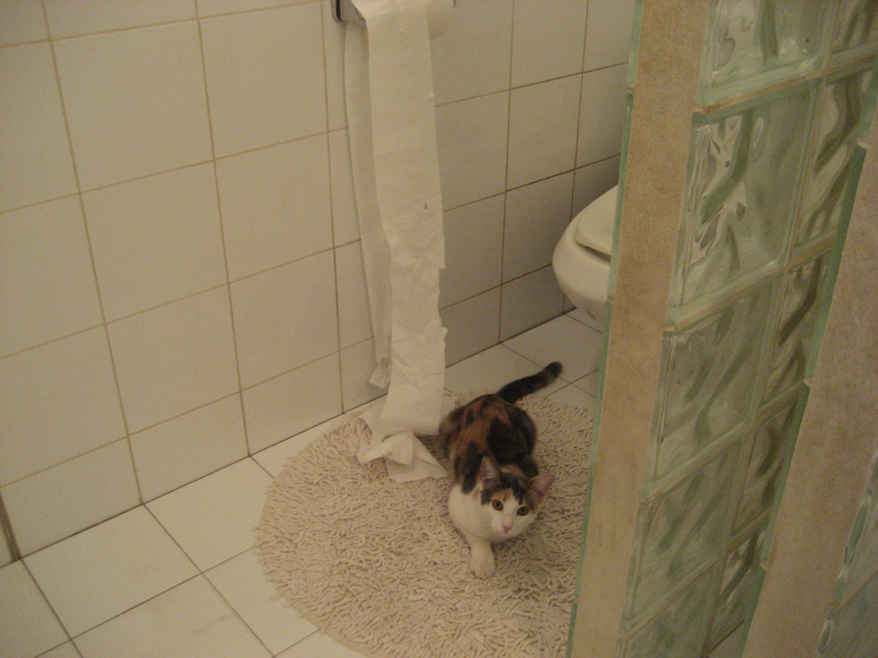 西甲火热的转会市场盘点,西甲转会窗口什么时候关闭